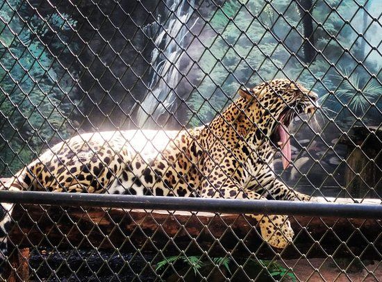 Zoológico Bosque Guaraní